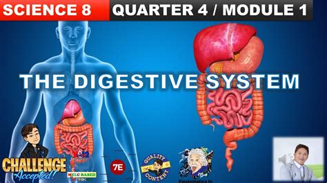 science 8 quarter 4 module 1 ppt|DIGESTIVE SYSTEM .